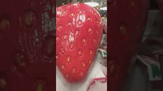 Buah Strawberry Dari Jepang Di Supermarket Hong Kong