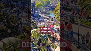 A look at Disneyland #crazy #crowded #disney #Disneyland #jgkix