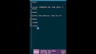 Como Programar do zero no celular HTML.