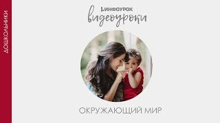 Живая и неживая природа | Дошкольники | Окружающий мир #23 | Инфоурок