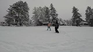 Tons of snow in Tahoe!