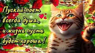 ☕Самого доброго летнего утра!💗 Благословенного дня!💗Красивая музыкальная открытка+