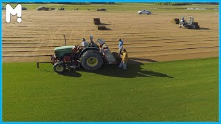 Turf Grass Farming Agriculture Business - Turfgrass Installation & Management - Turfgrass Price