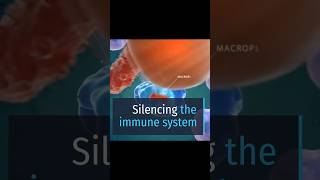 Unlocking the Secrets: Silencing the Immune System