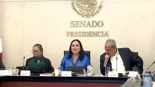 Comisiones del Senado avalan excluir el Art. 12 de la Reforma Electoral