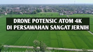 DRONE POTENSIC ATOM 4K DI PERSAWAHAN GLAGAH SELATAN PASAR JETIS PONOROGO