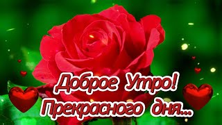 ДОБРОЕ УТРО! ПРЕКРАСНОГО ДНЯ! ТЁПЛЫЙ, СЕРДЕЧНЫЙ ПРИВЕТ ОТ МЕНЯ! 😘💌🌹🌹🌹🌹🌹🌹🌹🌹🌹🌹🌹🌹🌹🌹🌹🌹🌹🌹🌹🌹🌹🌹🌹🌹🌹🌹🌹🌹🌹🌹🌹🌹🌹🌹