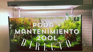 Poda + mantenimiento acuario 200L. En directo