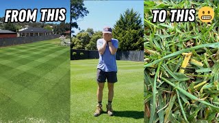 Identifying and treating a lawn fungal disease