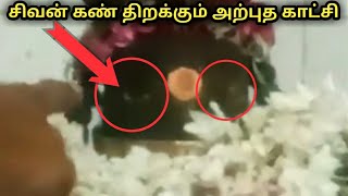 சிவன் கண் திறக்கும் அற்புத காட்சி  | lord shiva opening eyes | sithargal | சித்தர்கள்