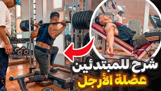 تمرين+شرح عضلة الأرجل مع بطل الدولي البهجة