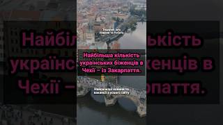 Найбільша кількість українських біженців в Чехії – із Закарпаття.  #чехія  #біженцізукраїни