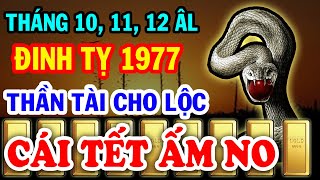 Tử Vi Đinh Tỵ 1977 Chú Ý Điều Này TIỀN VỀ Chật Két Ăn Tết Cực To ĐỔI ĐỜI ĐẠI GIA Đúng Cuối Năm 2024