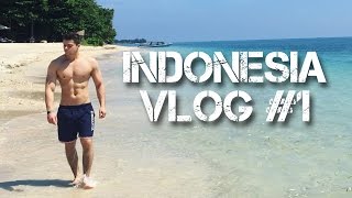 PRODALI MI ORGANE - LETIM ZA INDONEZIJU - VLOG #1