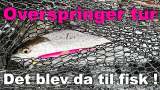 Overspringer tur 🎣 Ærø 🐟 Havørred Fiskeri 💨