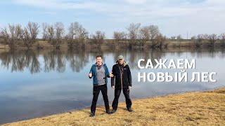 Сажаем лес на берегу Днестра: давай с нами!