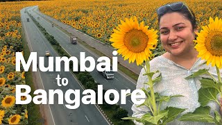 MUMBAI TO BANGALORE | SURREAL VIEWS | ROAD CONDITIONS UPDATE | AMAZING WEATHER @TheDiscoverJodi