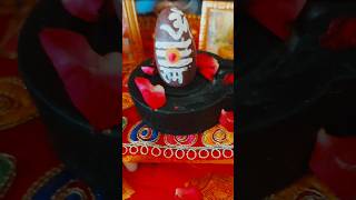 #shortvideo #shivling #shorts #pragyaartzone