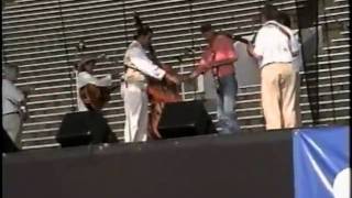 'The Fiddlemaster'- 2003 Roanoke Fiddle Fest - Fiddle Competition Winner