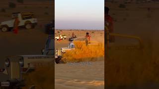 #desertsafari #jaisalmer #samsanddunes #shortvideos #kasamdesertsafaricamp #viralvideo