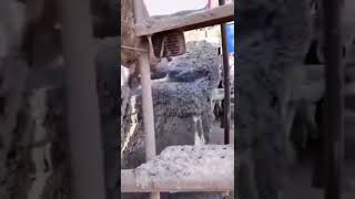 concrete pump bucket blocked 😔😔 | concrete pump ka bucket block h gy #youtubeshorts #concretepump