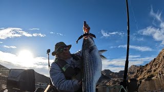 Willow Beach Arizona: Jackson Big Rig FD, PB ALERT! 23.5 lbs! Caught on Tony Garcia triple.