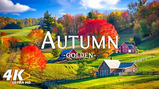 Cozy Autumn Ambience🍁4K Beautiful Autumn Foliage in Countryside with Deep Relaxing Music