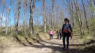 ESCURSIONE ZONA TOLFA - MONTE PIETANGELI