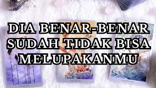 TIDAK PERNAH BISA SEDIKITMU MELUPAKANMU, DIA SUDAH BENAR BENAR KEPINCUT KAMU