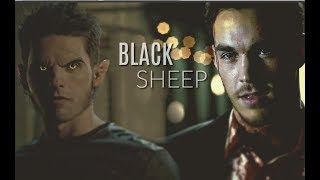 Multimale || Black Sheep