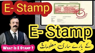 How To Apply Online For E-Stamp Paper (Rs. 100,300, 1200 ) In Pakistan E-Stamping Punjab #law