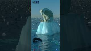 Polar Bear Extinction | #climatechange #polarbear #extinction #shorts #bear #arcticanimal #mammal