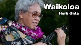 [BGM] Waikoloa / Herb Ohta