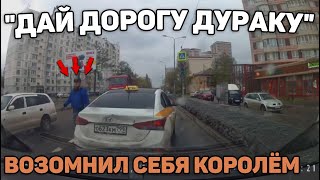 Автоподборка "Дай Дорогу Дураку" 🚗Король на дороге#254