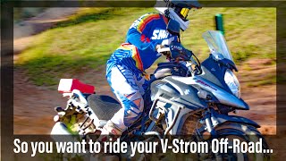 Tips and Tricks for Riding your Suzuki V-Strom 650 Off Road: Episode 2