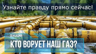 Кто ворует наш газ! #humor #приколы #газопровод #fantastic