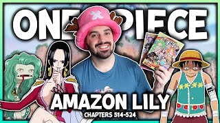 I Read the One Piece: Amazon Lily Arc For the First Time ☠️