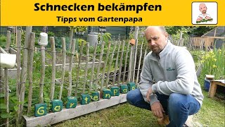 Schnecken natürlich bekämpfen