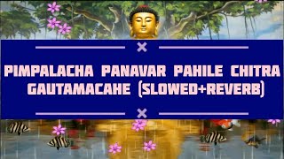 Pimpalacha Panavar Pahile Chitra Gautamacahe (slowed+Reverb) buddhistindia358