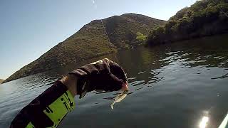 fishing the dam area at Silverwood