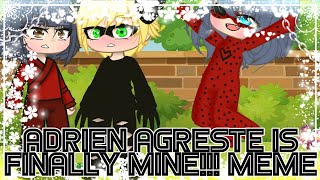 ADRIEN AGRESTE IS FINALLY MINE!!! Meme//Adrienette 😌❤️//MLB