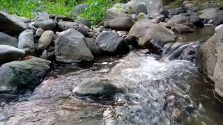 Get calm and fresh thoughts with the sound of natural clear water | Nature Sounds | Water Nature