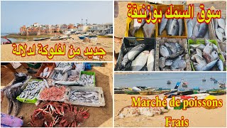 💥جولة في مرسى سوق السمك بوزنيقة، رحبة الحوت طري من لفلوكة لدلالة👍Vlog marché du poissons à Bouznika