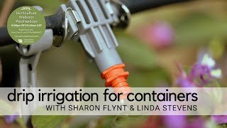 Drip Irrigation for Containers