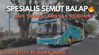 NGOYOD SEMUT BALAP🐜🔥||Spesialis Semut Balap ant trans "Arsyad Reborn" #busgarage