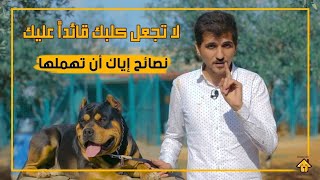 V#61 - لا تجعل كلبك قائداً عليك! نصائح إياك ان تهملها مع ماوكلي