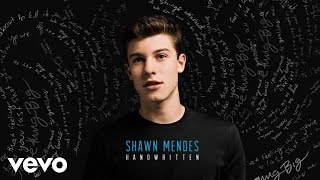 Shawn Mendes - Crazy (Official Audio)