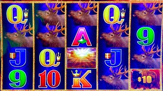 AMAZING BIG WINS ON BUFFALO LINK #slotman #casino #buffalo