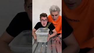 Влад А4 и Егорик (Егор Шкред) в Tik Tok | А4 ПЕСНИ | А4 В Tik Tok | ЕГОРИК в Tik Tok