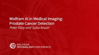 Wolfram AI in Medical Imaging: Prostate Cancer Detection